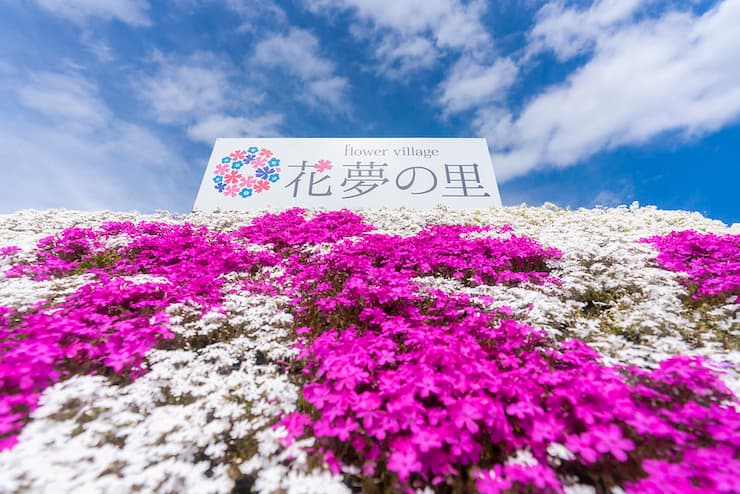 flower village 花夢の里　提供：一般社団法人広島県観光連盟