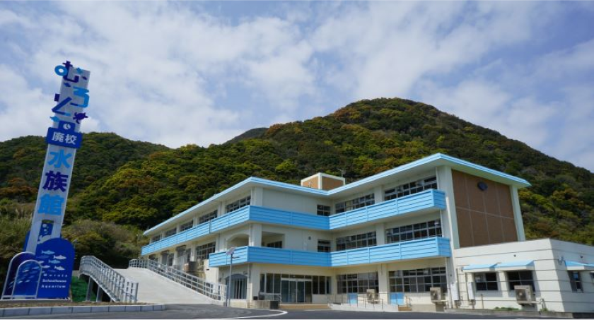 提供:むろと廃校水族館