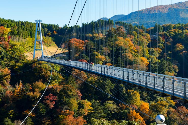 大分県_九重“夢”大吊橋
