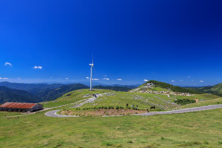 愛媛県_四国カルスト