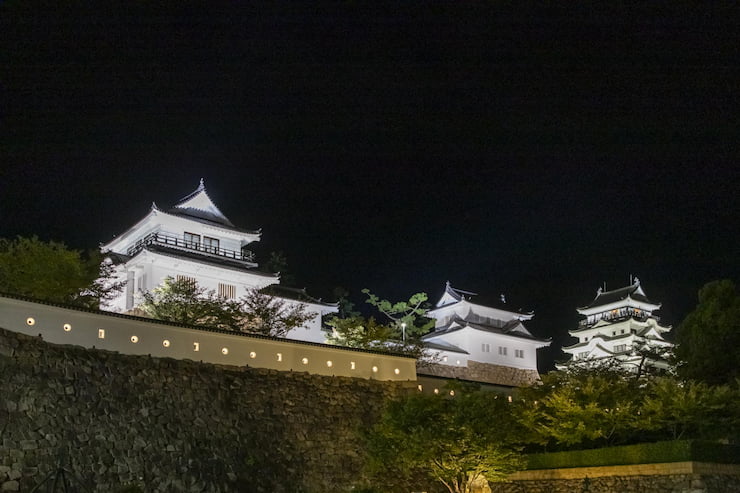 福山城(夜)2 提供:福山観光コンベンション協会