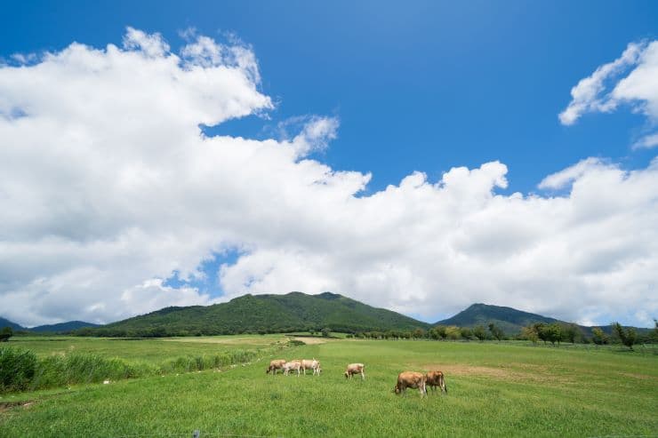 蒜山高原