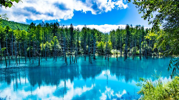 北海道 青い池