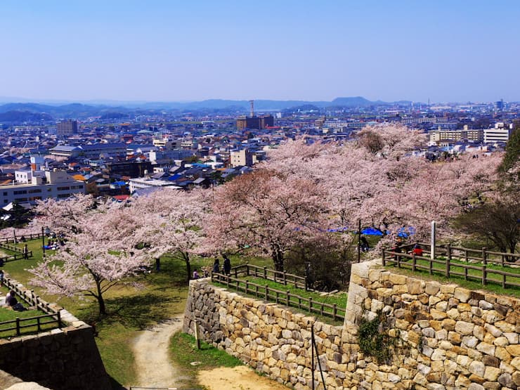 久松公園No.5056　提供：鳥取県