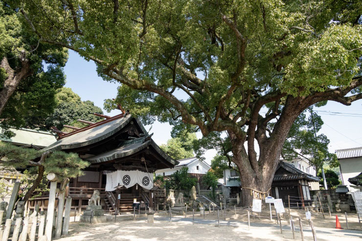 夏の艮神社 提供:おのなび