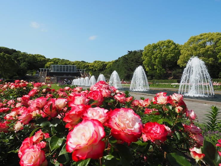 須磨離宮公園 提供:一般財団法人神戸観光局