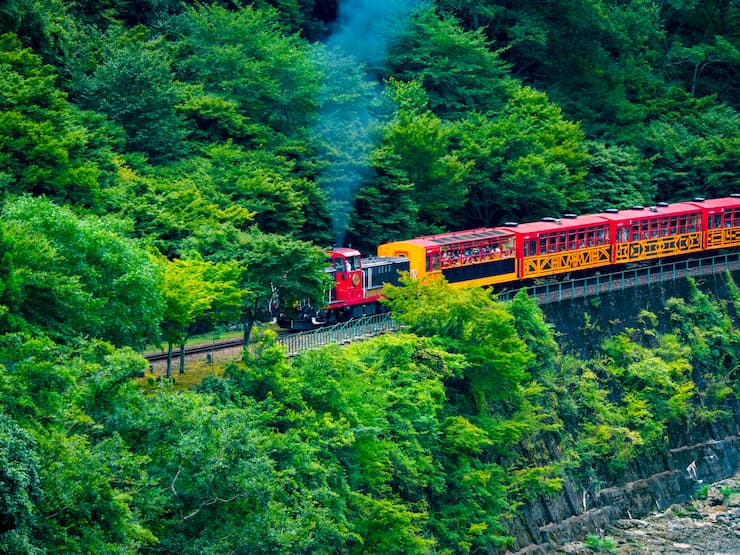 京都_嵯峨野トロッコ
