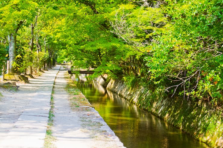 京都_哲学の道