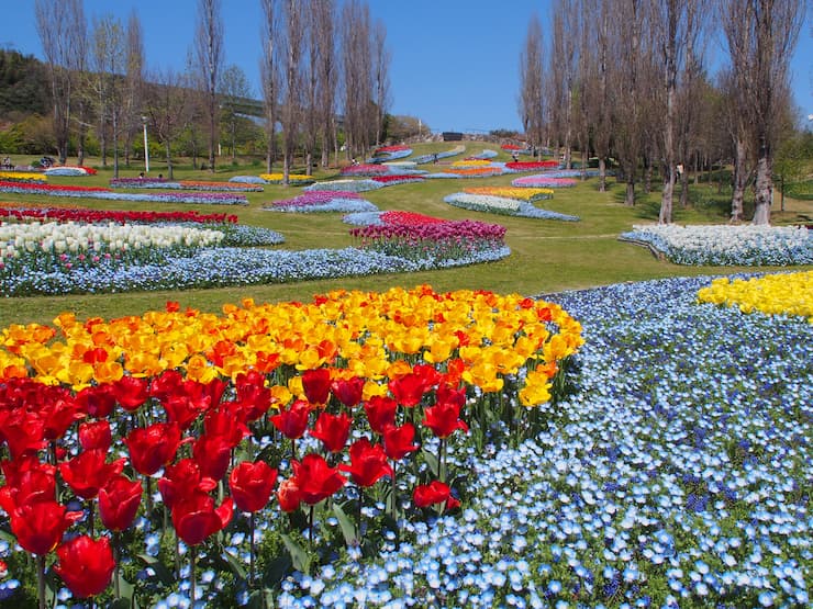 国営明石海峡公園