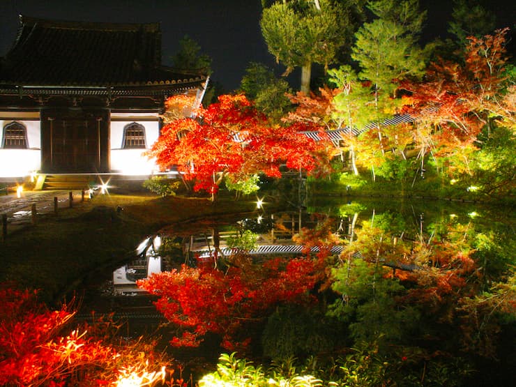 京都_高台寺_臥龍池夜間ライトアップ