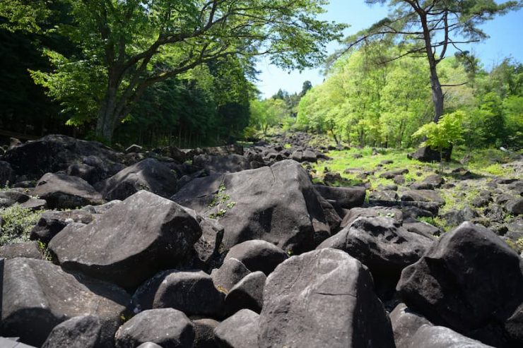 フォレストパーク神野山「鍋倉渓」