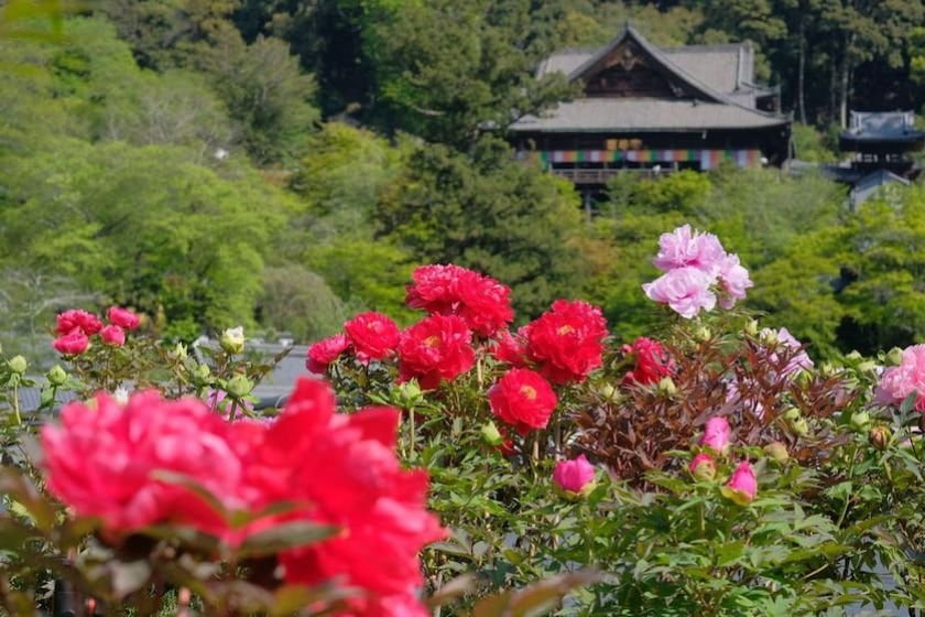 写真提供：長谷寺