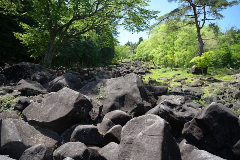 フォレストパーク神野山「鍋倉渓」