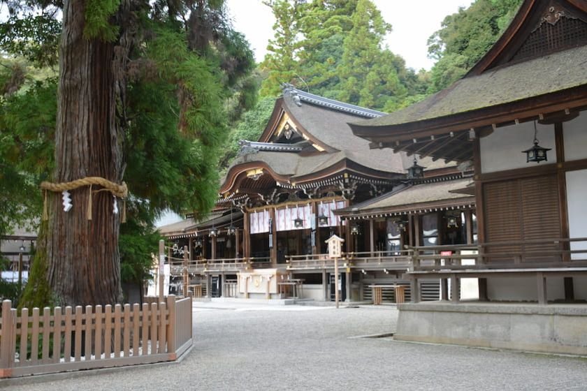 大神神社拝殿 写真提供：大神神社