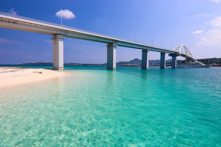 アンチ浜