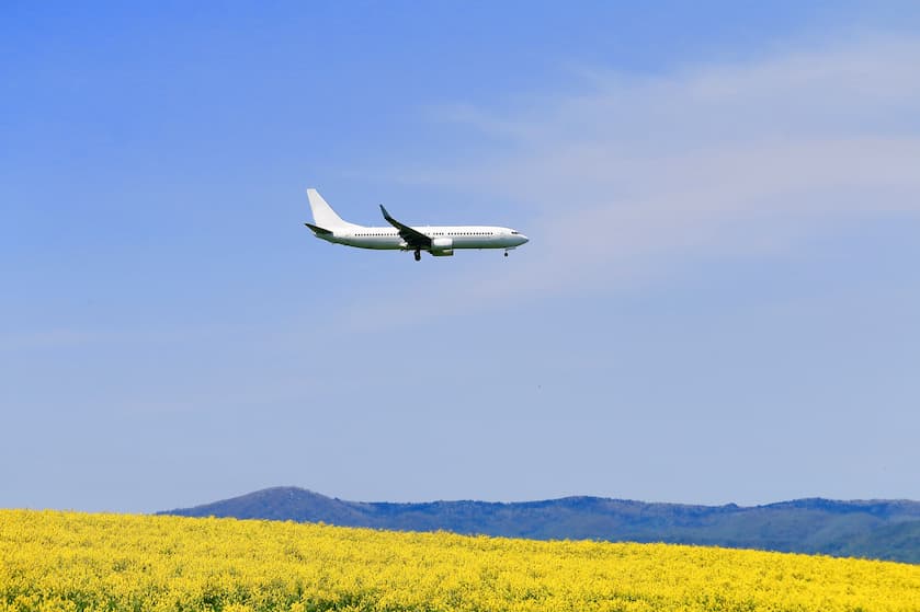 菜の花畑と飛行機 