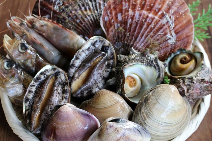 海鮮BBQイメージ 画像提供：とれとれ市場南紀白浜