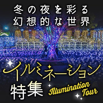 イルミネーション特集