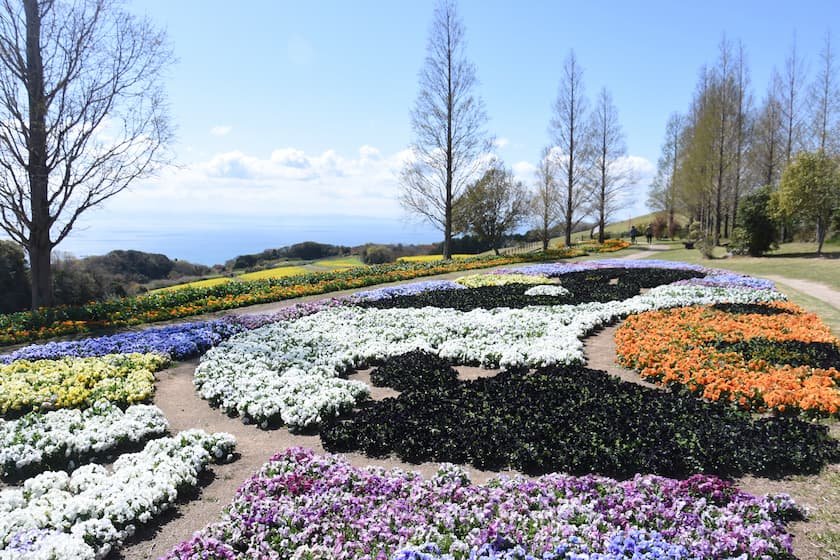 兵庫県立公園 あわじ花さじき 画像提供：©あわじ花さじき