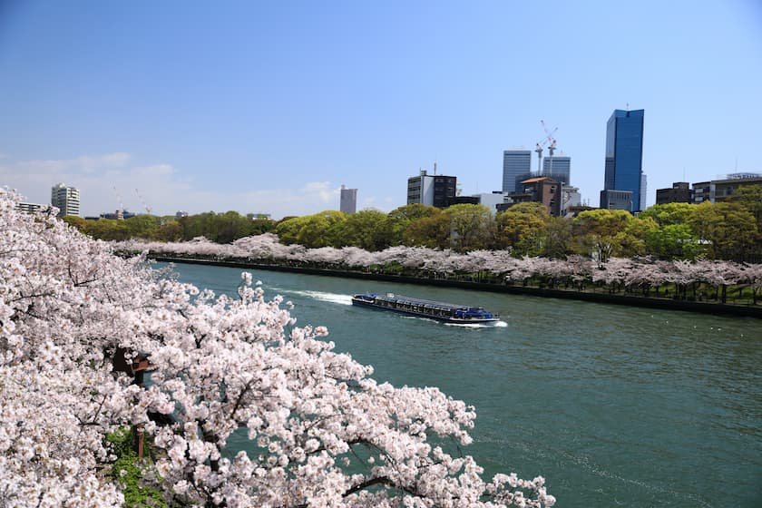 毛馬桜之宮公園