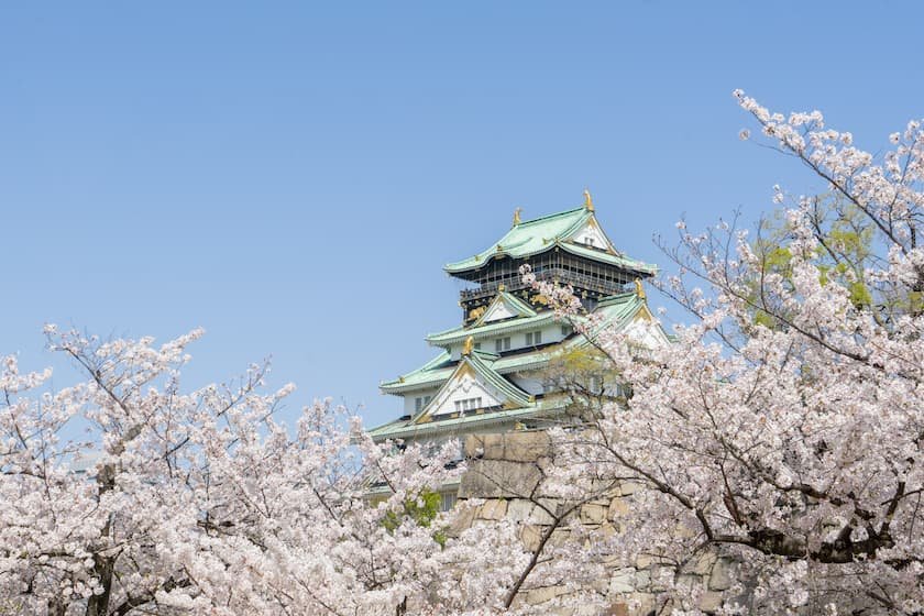 大阪城公園の桜と大阪城天守閣