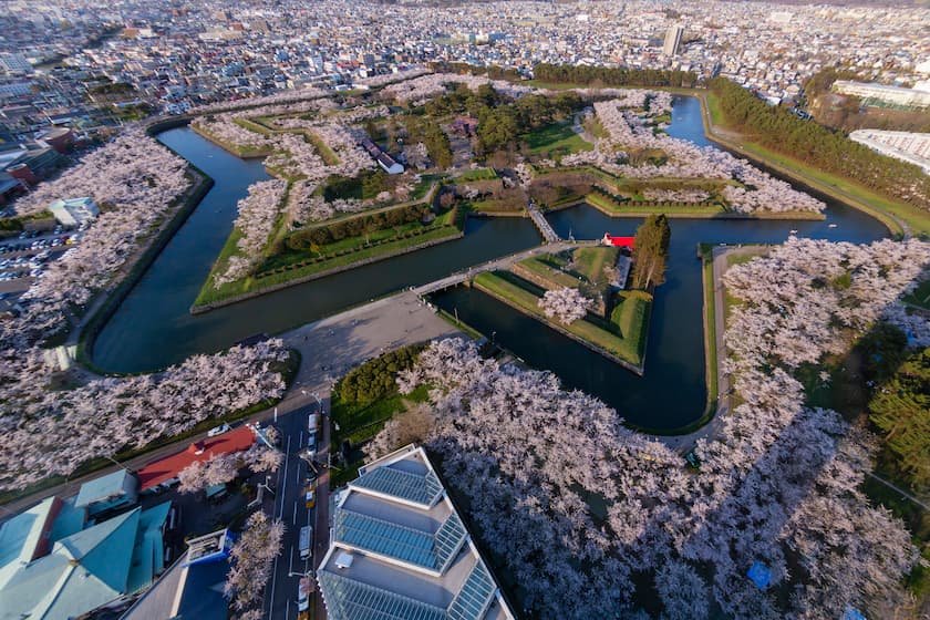北海道の桜名所＆お花見スポット17選【2026】