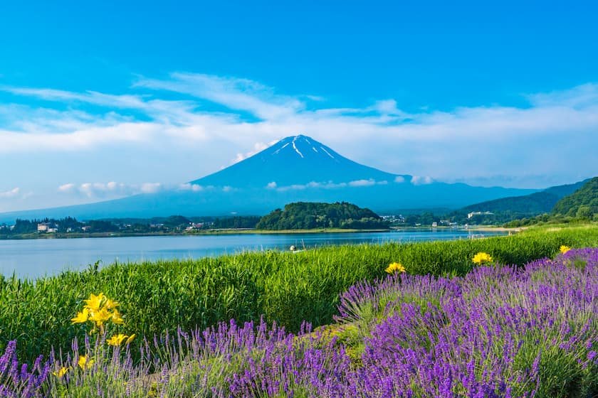 6月の旅行におすすめの観光スポット9選！梅雨こそ楽しめる人気スポットをご紹介。