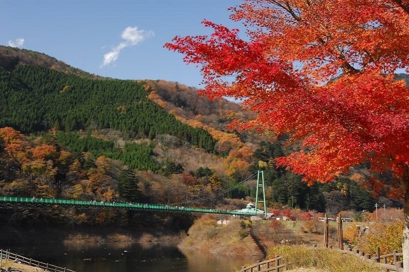 もみじ谷大吊橋