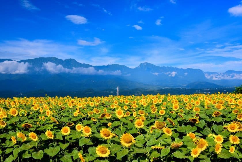 8月の旅行におすすめ！夏休みに行きたい絶景＆涼しい避暑地スポット9選