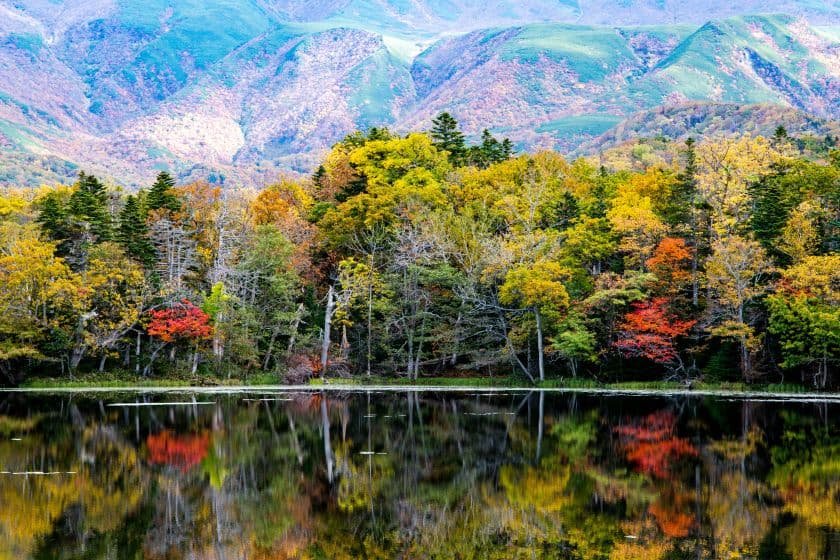 湖面に映り込む紅葉が美しい知床五湖
