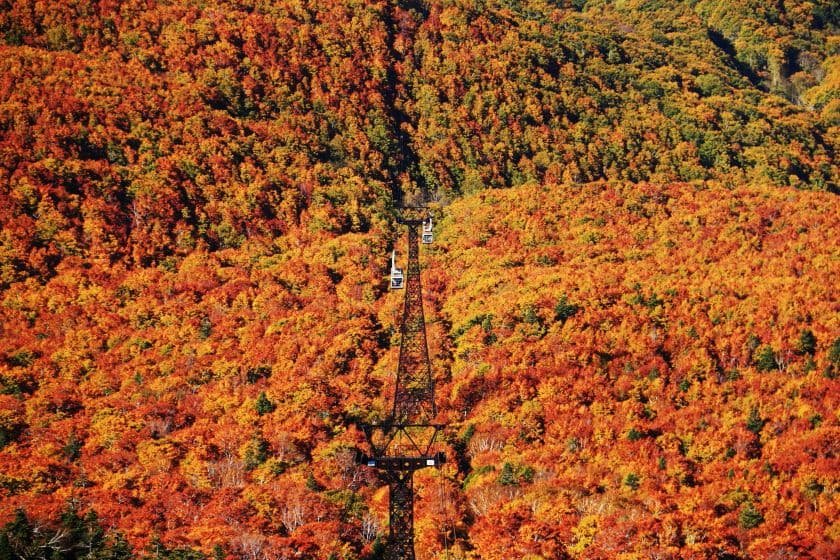 八甲田山を埋め尽くす紅葉の中を進むロープウェイ