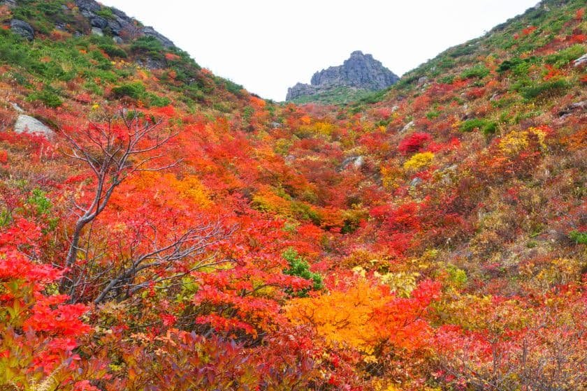 安達太良山の燃えるような紅葉