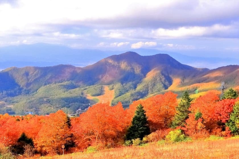 美しく色づく蔵王連峰