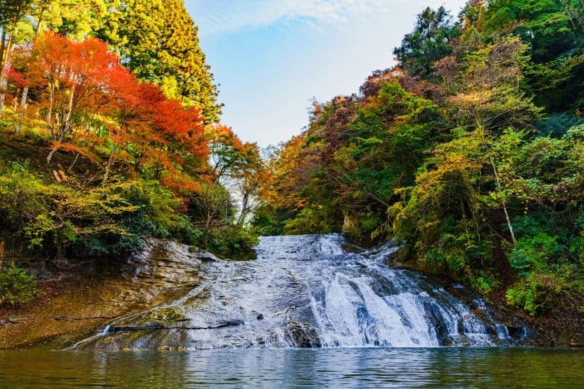 色づいた木々の間を滑らかに流れる粟又の滝