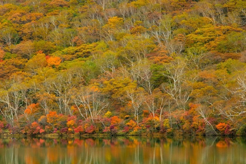 水面に映る紅葉が美しい小沼