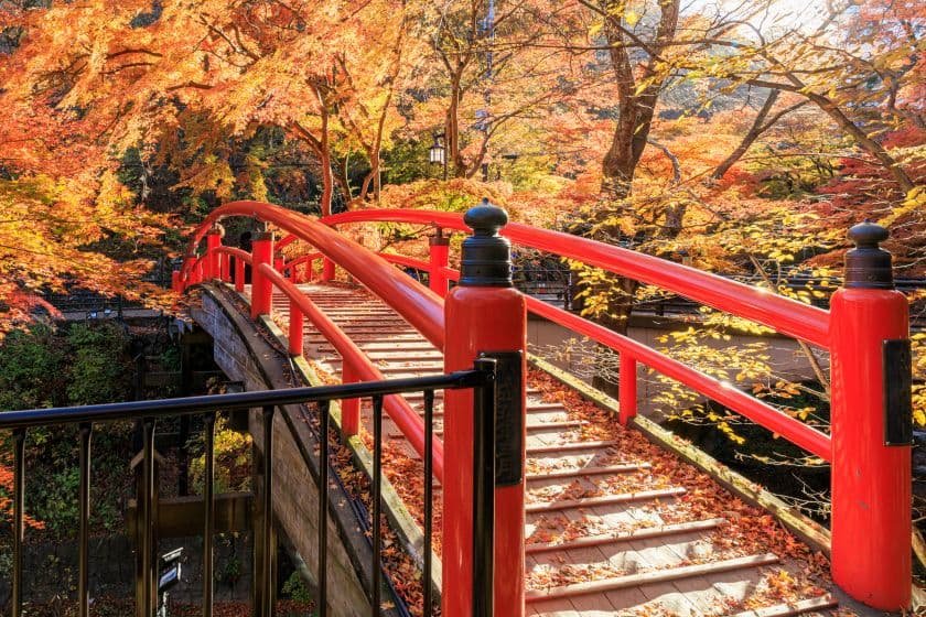 紅葉に包まれた河鹿橋