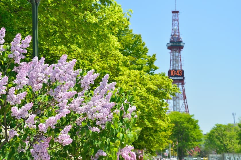 北海道観光におすすめの人気スポット45選 エリア・季節別にイベントも紹介