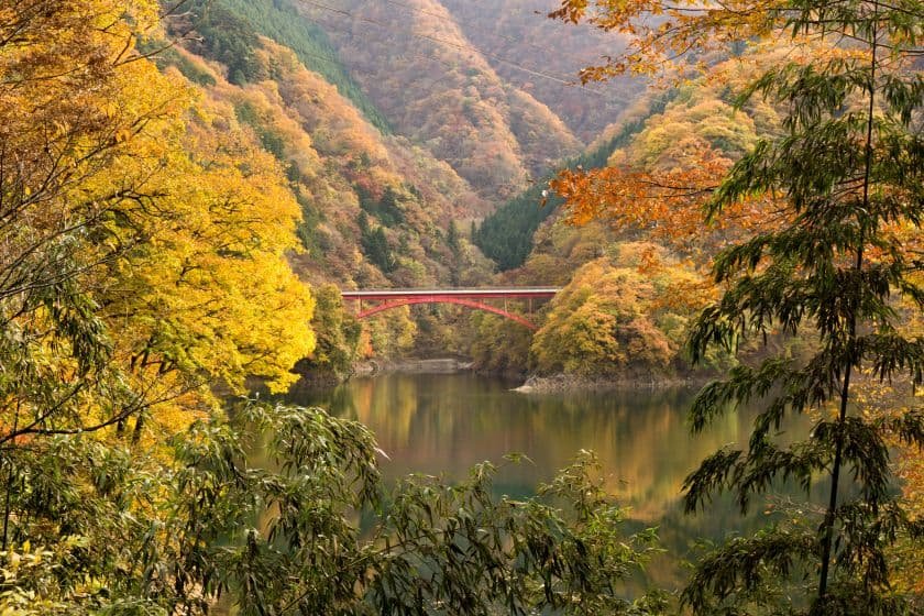 香蘭橋を囲む紅葉