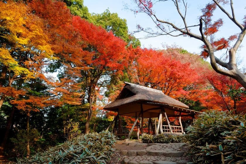 関東地方の紅葉の見頃・おすすめ紅葉スポット11選【2026】