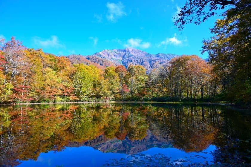北陸地方の紅葉の見頃・おすすめ紅葉スポット8選【2026】