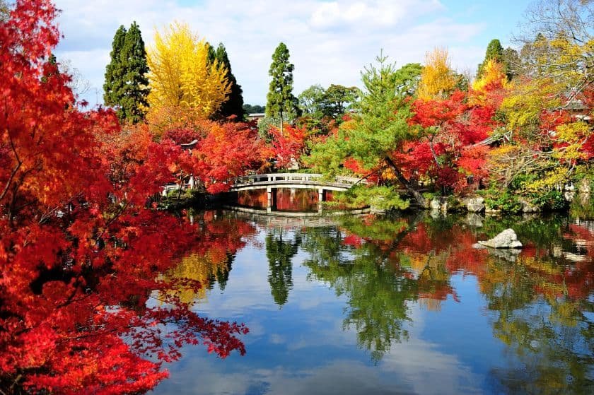 色とりどりの木々が水面に映り込む「逆さ紅葉」