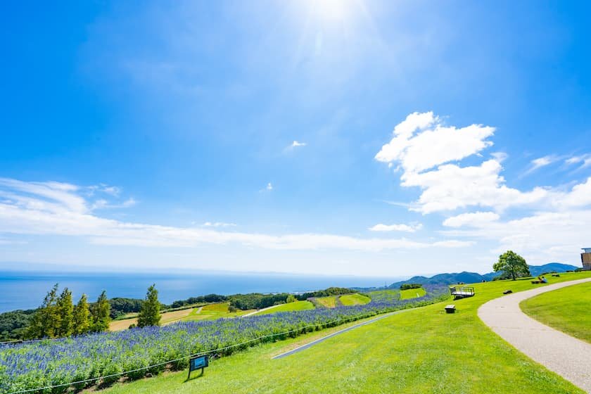 あわじ花さじき