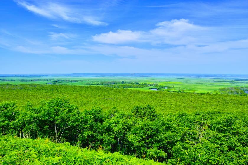 細岡展望台から眺める釧路湿原